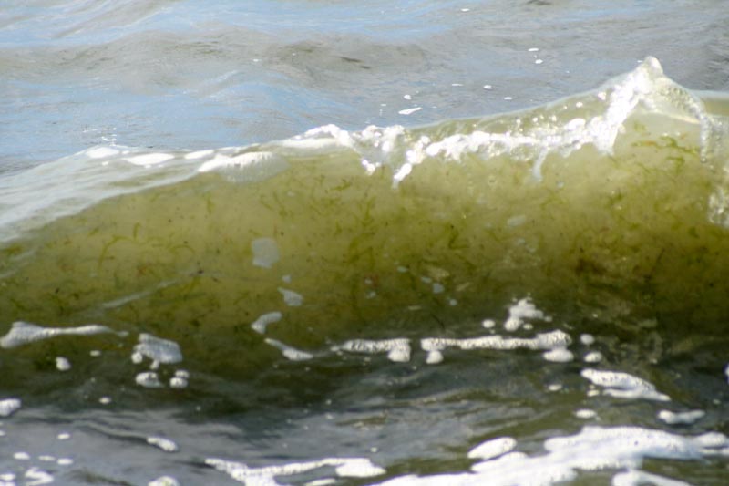 Killikus&reg; Fotographie