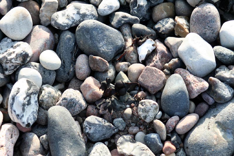 Killikus&reg; Fotographie