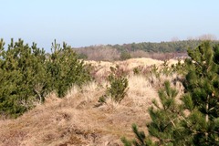 Killikus&reg; Fotographie