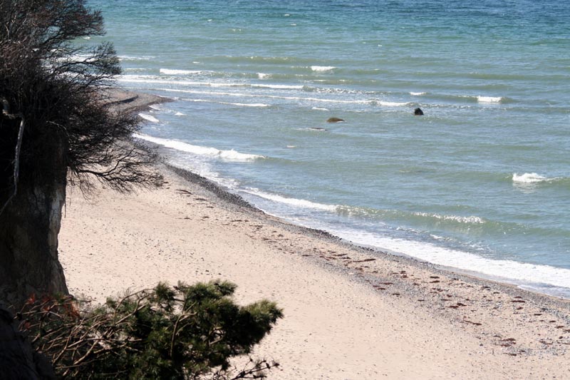 Killikus® Fotographie Killikus® Fotographie