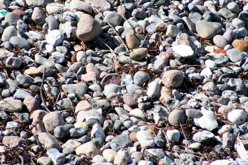 Killikus&reg; Fotographie