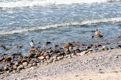 Killikus&reg; Fotographie