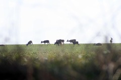 Killikus&reg; Fotographie