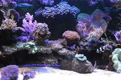 Killikus&reg; Fotographie