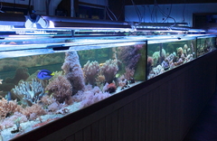 Killikus&reg; Fotographie