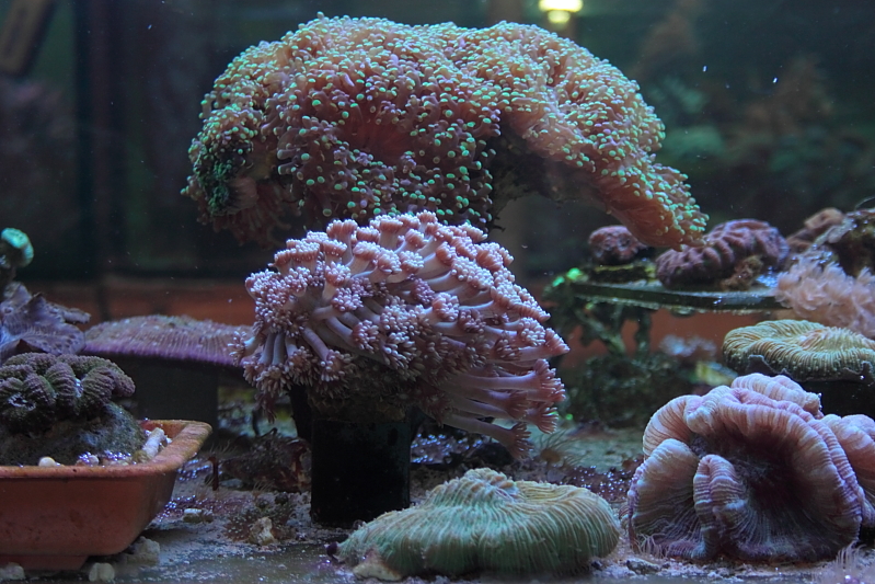 Killikus® Fotographie Killikus® Fotographie