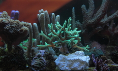 Killikus&reg; Fotographie