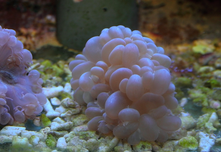 Killikus&reg; Fotographie