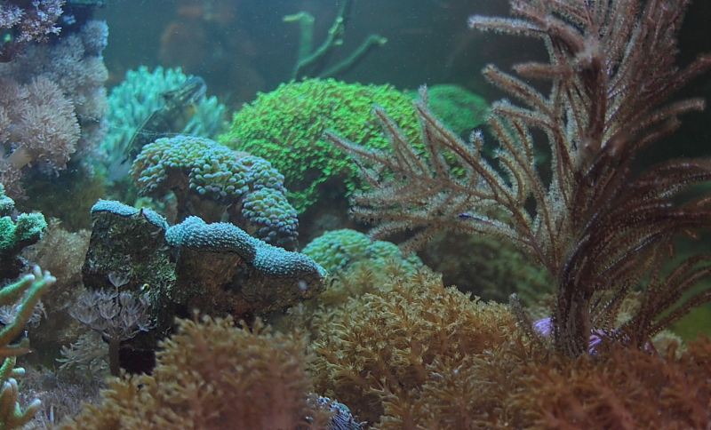 Killikus&reg; Fotographie