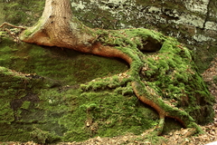 Killikus&reg; Fotographie