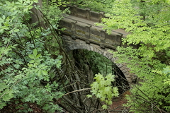 Killikus&reg; Fotographie