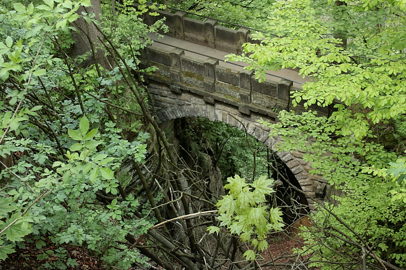 Killikus&reg; Fotographie