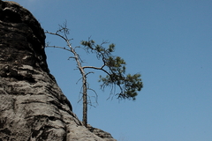 Killikus&reg; Fotographie