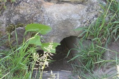 Killikus&reg; Fotographie