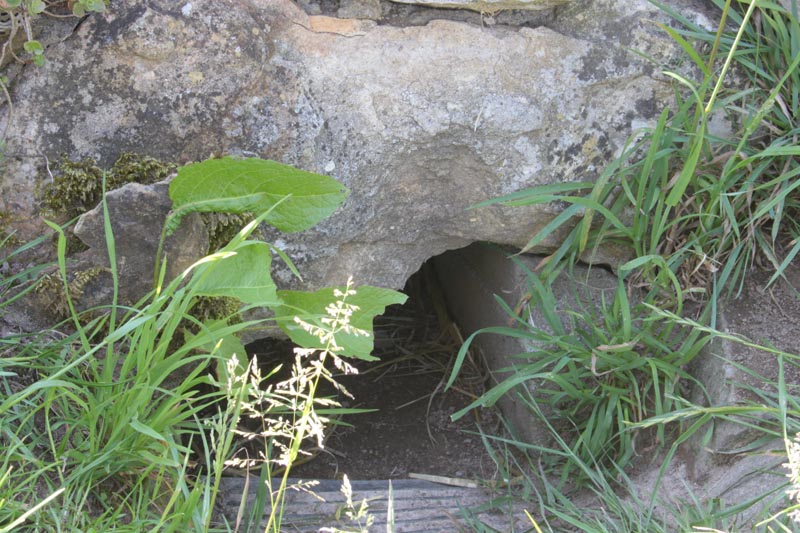 Killikus&reg; Fotographie