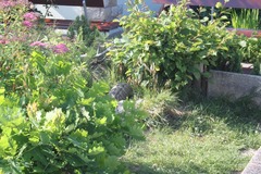 Killikus&reg; Fotographie