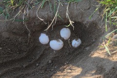 Killikus&reg; Fotographie