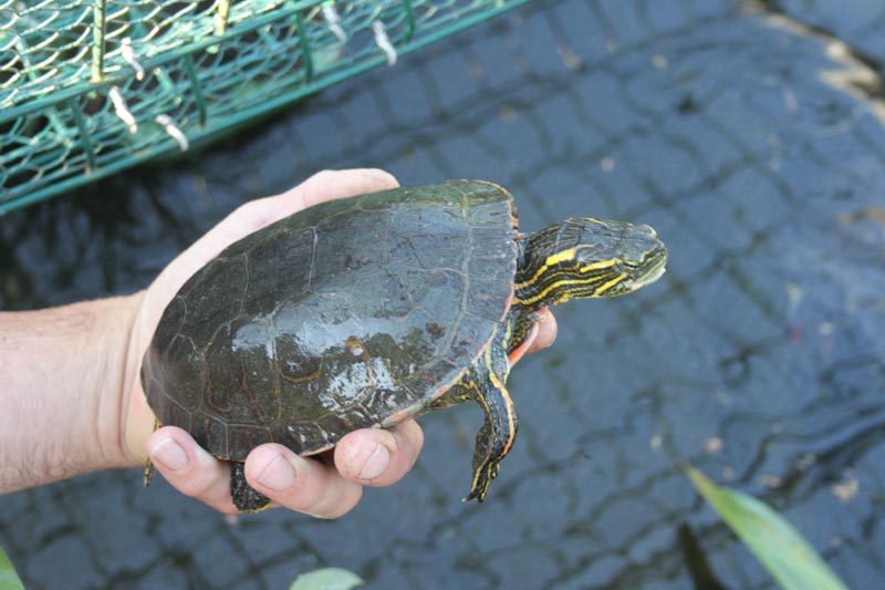 Killikus® Fotographie Killikus® Fotographie