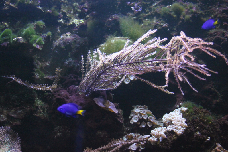 Killikus® Fotographie Killikus® Fotographie