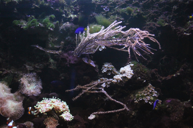 Killikus&reg; Fotographie