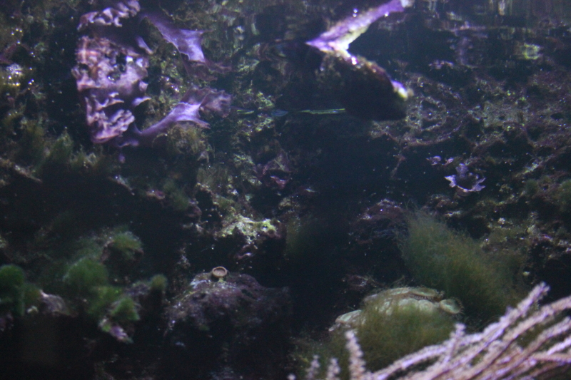 Killikus® Fotographie Killikus® Fotographie