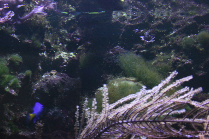 Killikus&reg; Fotographie