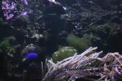 Killikus&reg; Fotographie