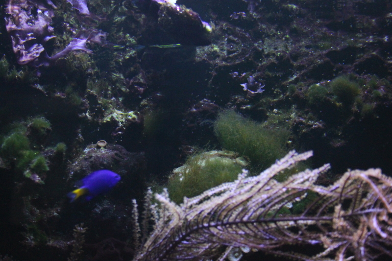 Killikus&reg; Fotographie