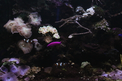 Killikus&reg; Fotographie