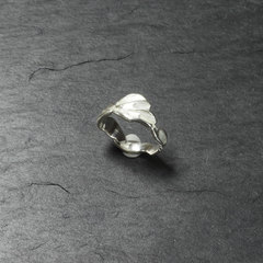 Killikus&reg; Fotographie