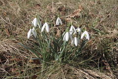 Killikus&reg; Fotographie