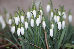 Killikus&reg; Fotographie