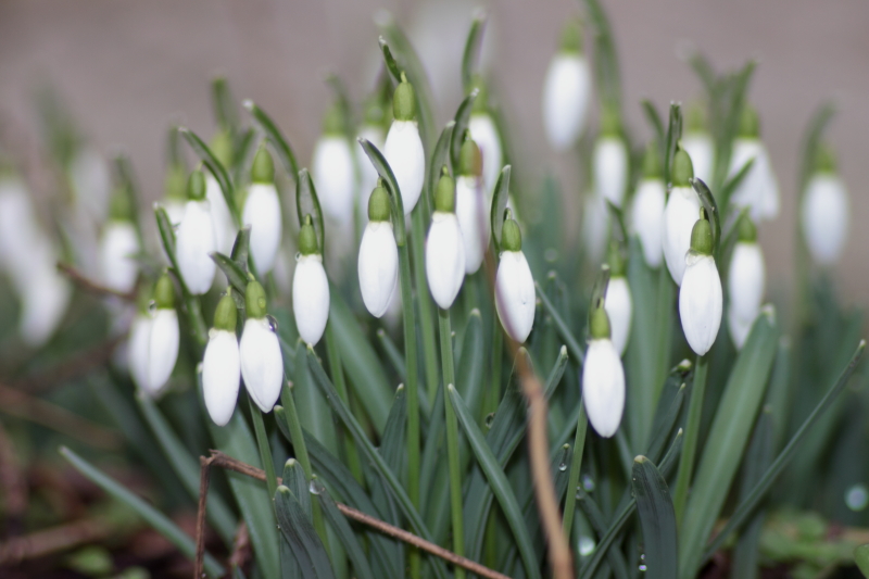 Killikus&reg; Fotographie