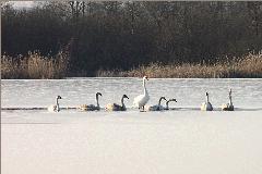 Killikus&reg; Fotographie