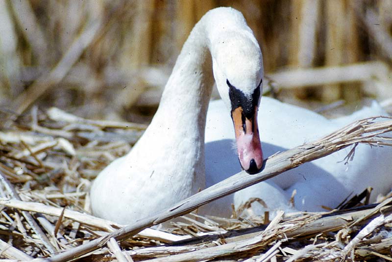 Killikus&reg; Fotographie