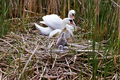 Killikus&reg; Fotographie