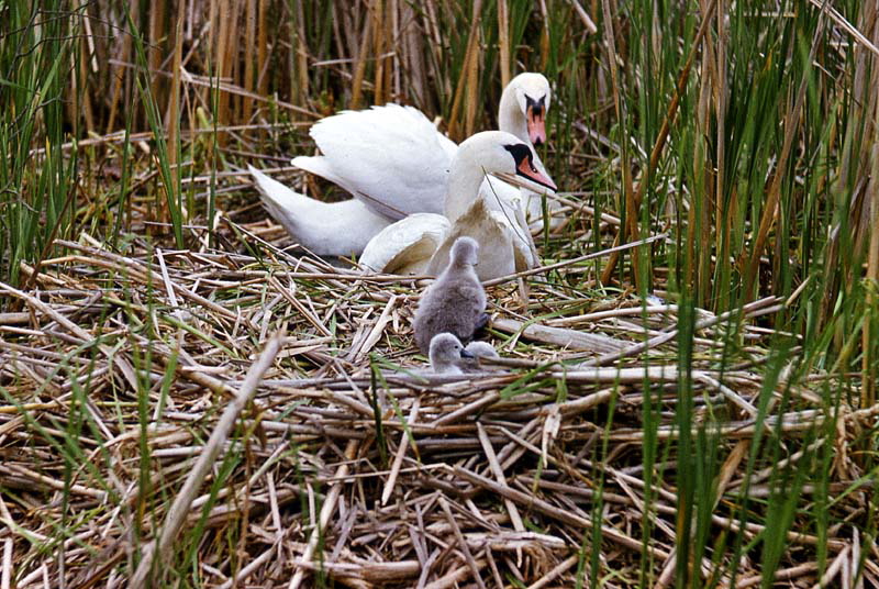 Killikus® Fotographie Killikus® Fotographie