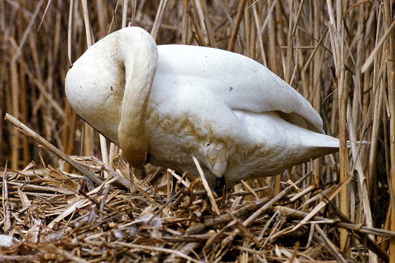 Killikus&reg; Fotographie