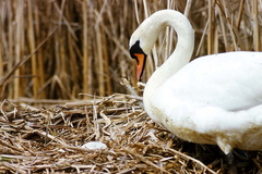 Killikus&reg; Fotographie