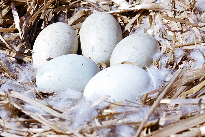 Killikus® Fotographie Killikus® Fotographie