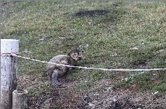 Killikus&reg; Fotographie