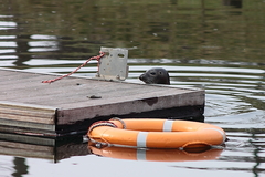 Killikus&reg; Fotographie