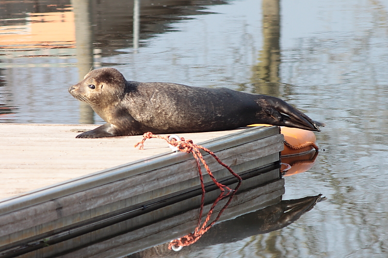 Killikus® Fotographie Killikus® Fotographie