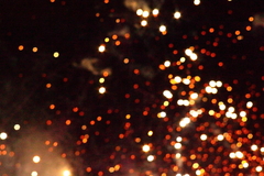 Killikus&reg; Fotographie