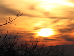 Killikus&reg; Fotographie