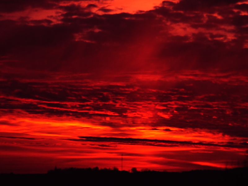 Killikus&reg; Fotographie