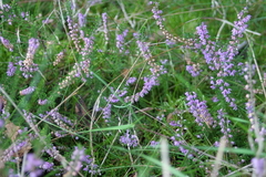 Killikus&reg; Fotographie