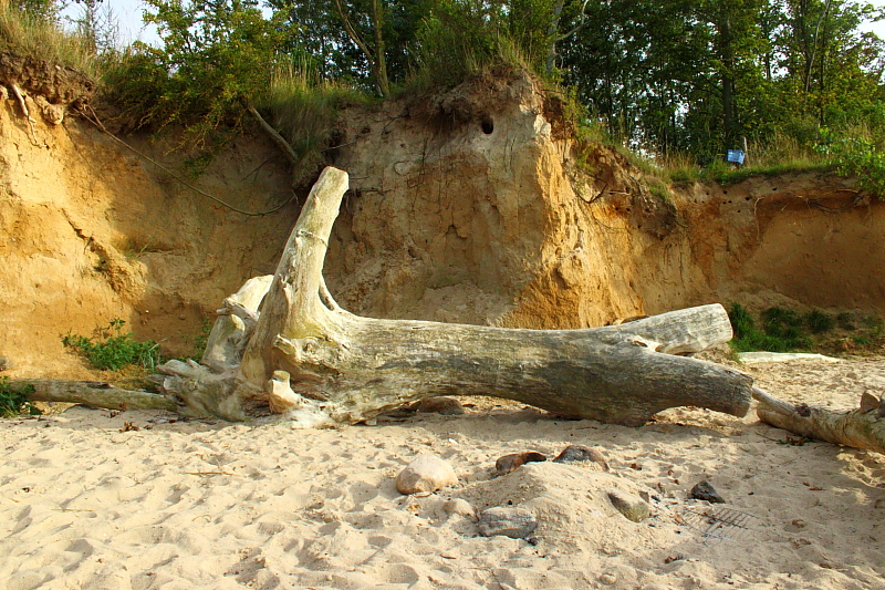 Killikus&reg; Fotographie