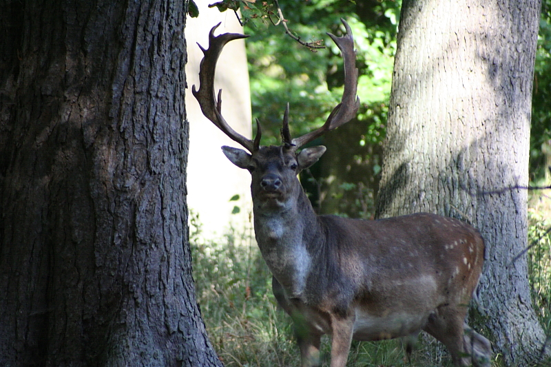 Killikus&reg; Fotographie