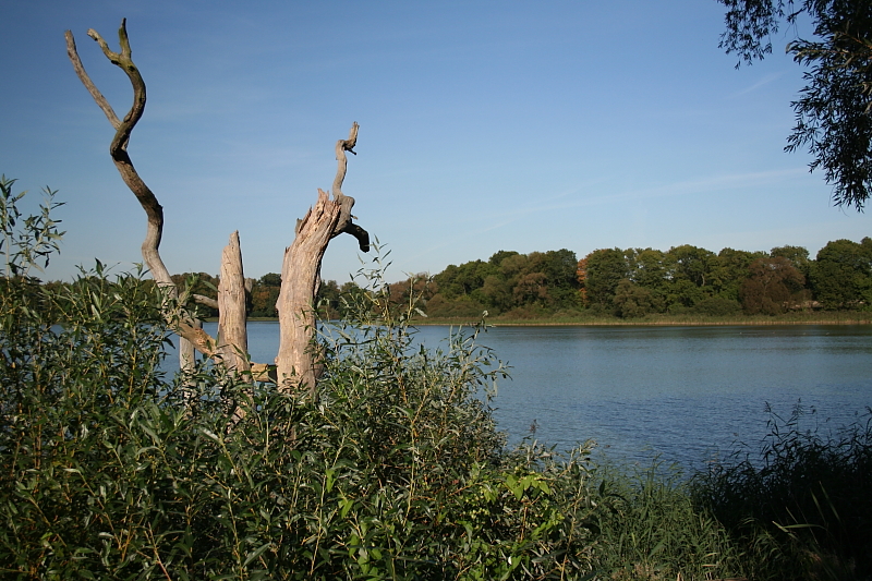 Killikus&reg; Fotographie